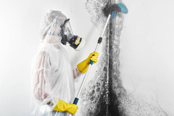 Asbestos and Lead Testing During Mold Inspection in Sandusky, OH