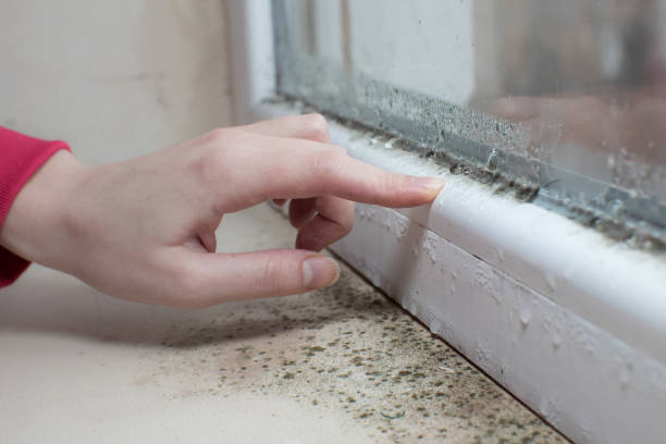 Best Post-Remediation Verification Testing  in Sandusky, OH