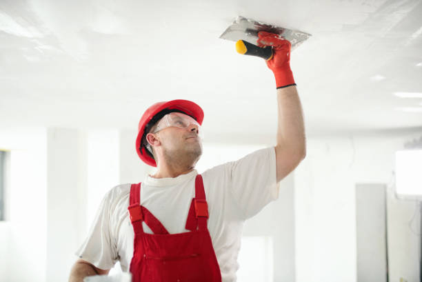 Best Asbestos and Lead Testing During Mold Inspection  in Sandusky, OH