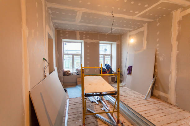Best Basement Mold Removal  in Sandusky, OH